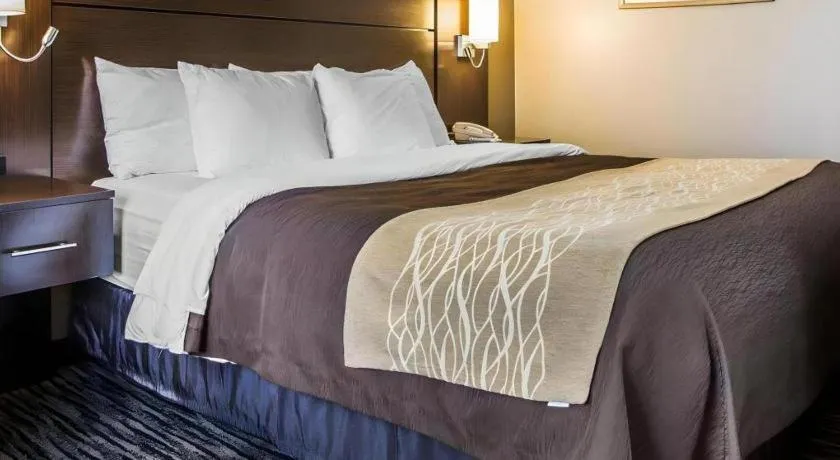 Bed in Quality Inn Dayton North - Vandalia