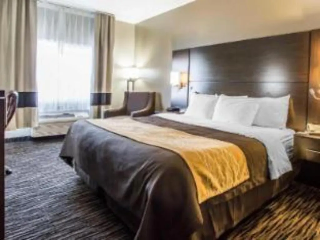 Bed in Quality Inn Dayton North - Vandalia