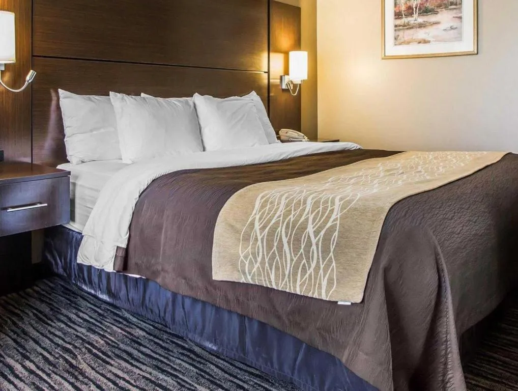 Bed in Quality Inn Dayton North - Vandalia