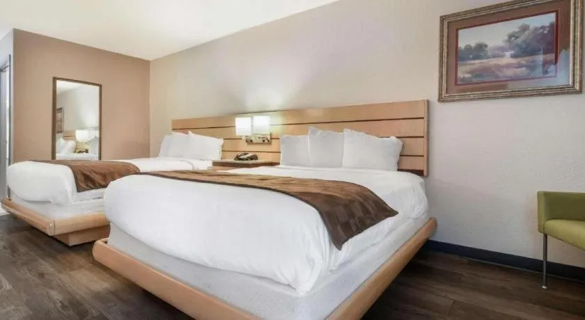 Bed in Surestay Plus Hotel Tarboro