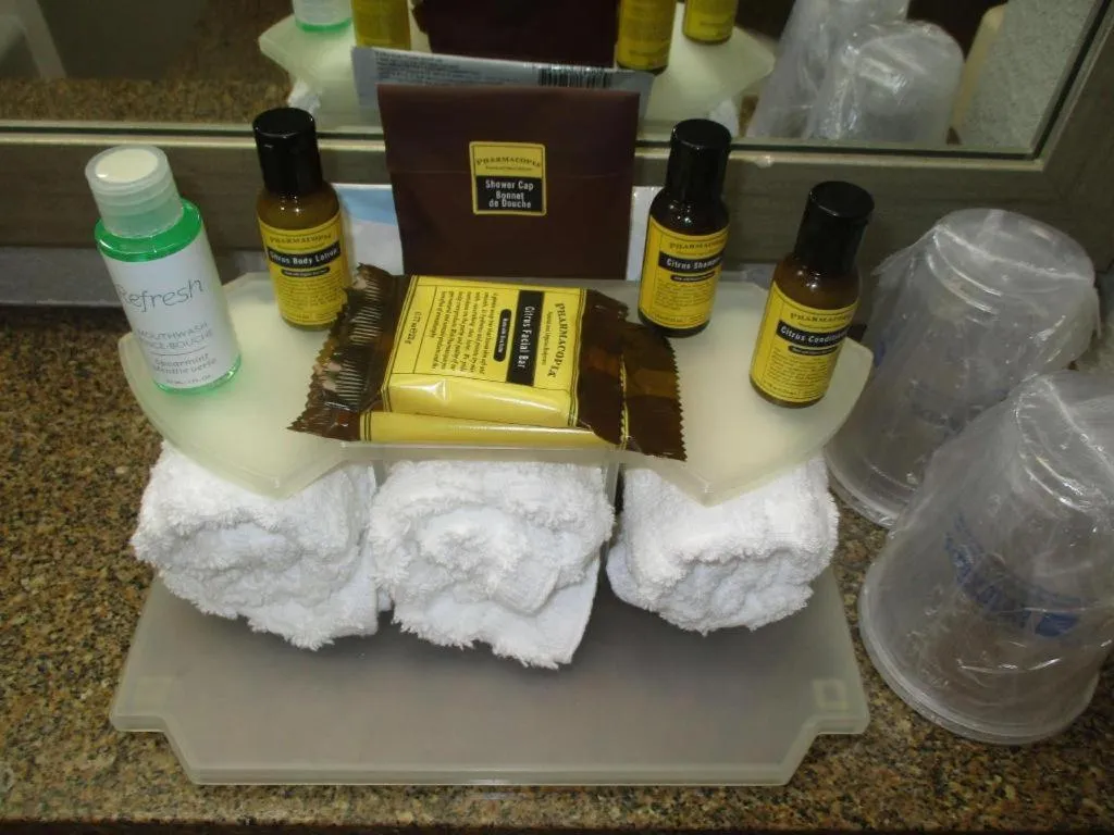 Best Western Plus Indianapolis NW Hotel