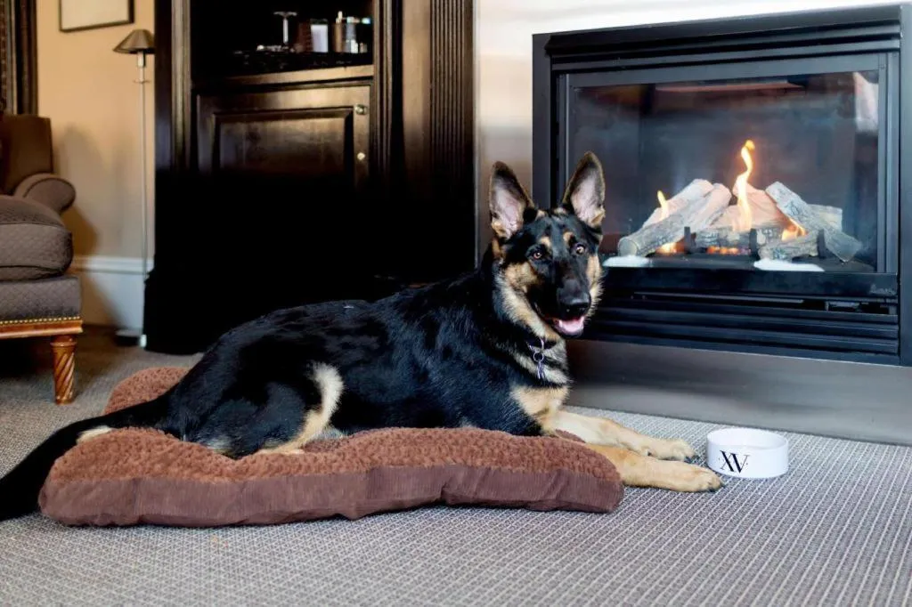 Fifteen Beacon Hotel