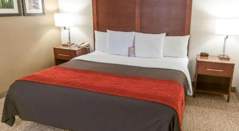 Bed in Comfort Inn Quantico