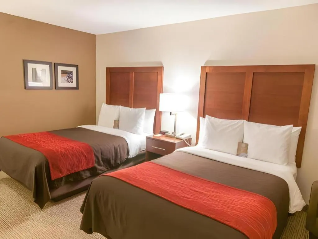 Bed in Comfort Inn Quantico