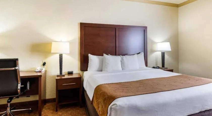 Bed in Comfort Suites near NASA - Clear Lake