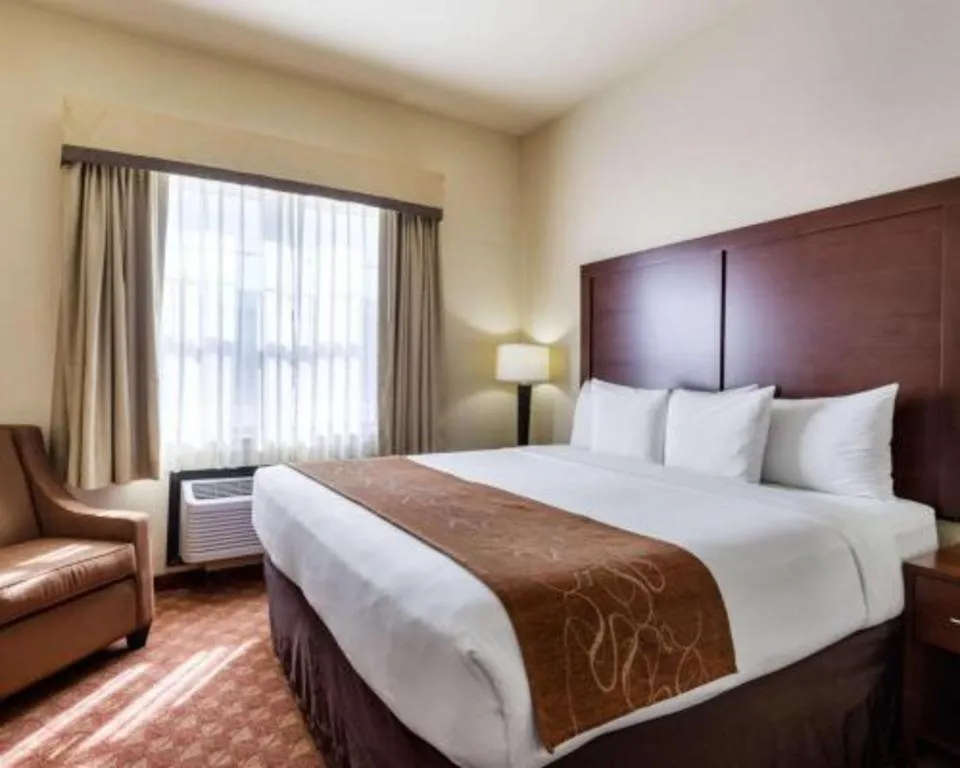 Bed in Comfort Suites near NASA - Clear Lake