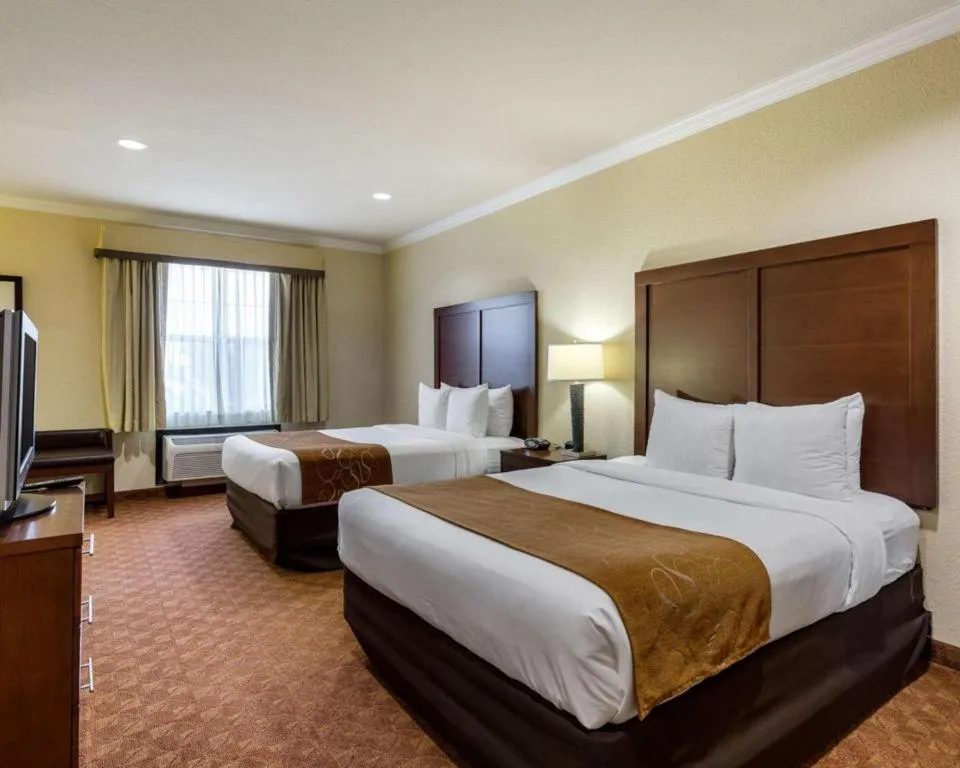 Bed in Comfort Suites near NASA - Clear Lake