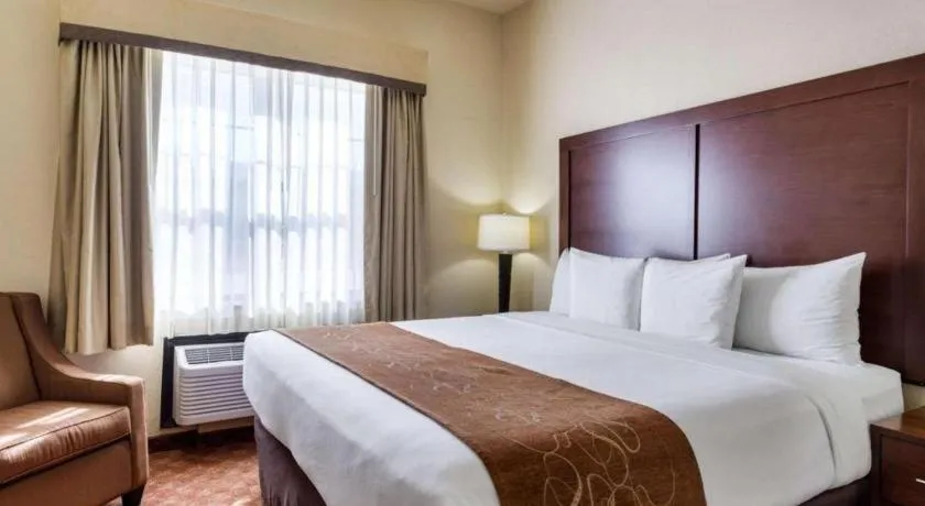 Bed in Comfort Suites near NASA - Clear Lake