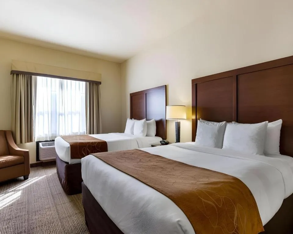 Bed in Comfort Suites near NASA - Clear Lake