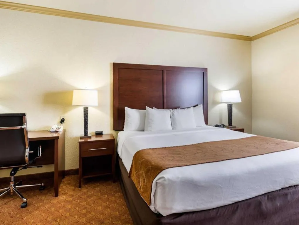 Bed in Comfort Suites near NASA - Clear Lake