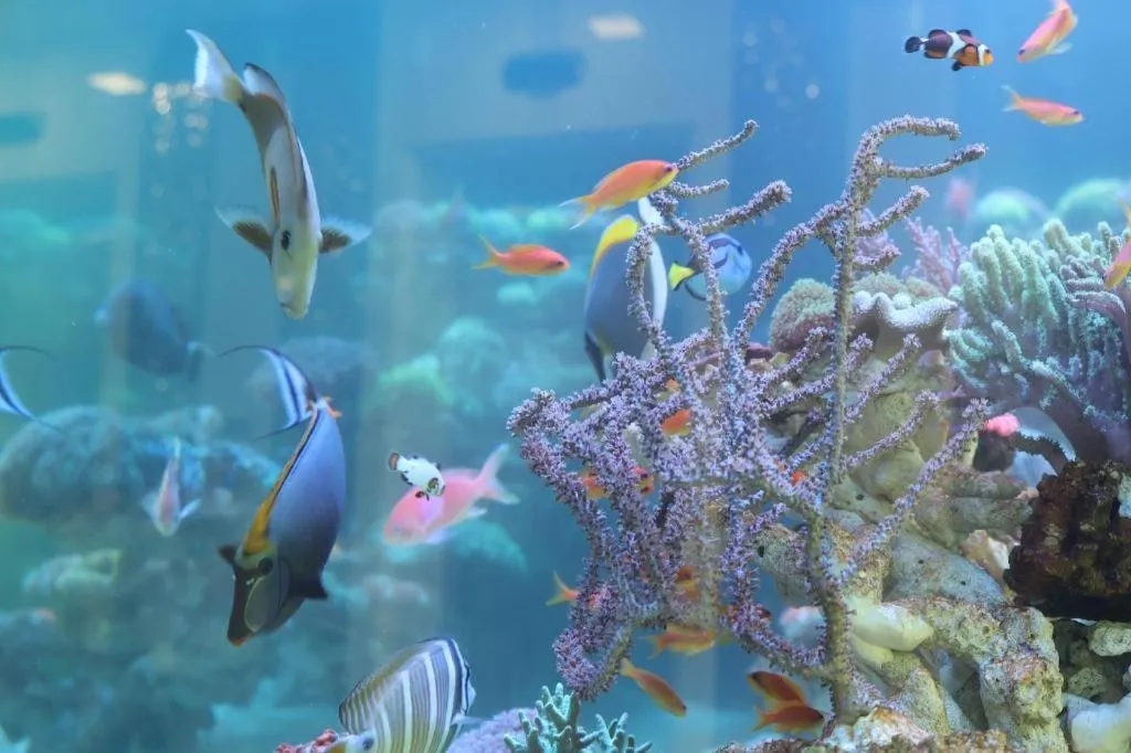 Glacier Hotel Khon Kaen