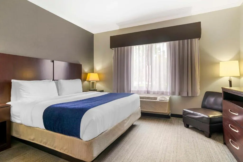 Bed in Best Western Plus Olathe Hotel