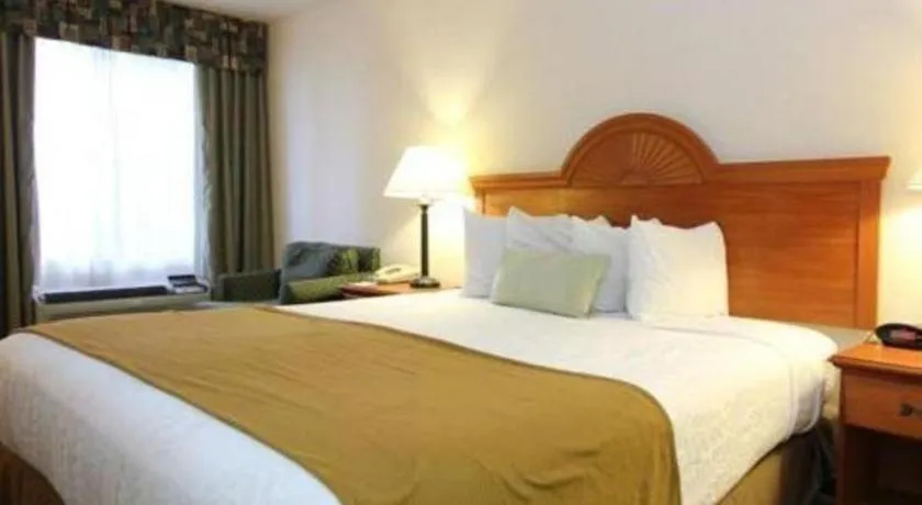 Best Western Plus Twin View Inn & Suites