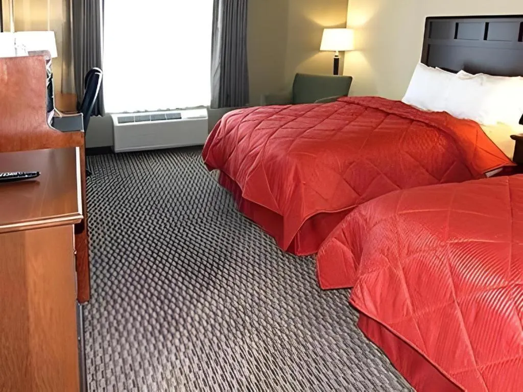 Bed in Comfort Inn & Suites