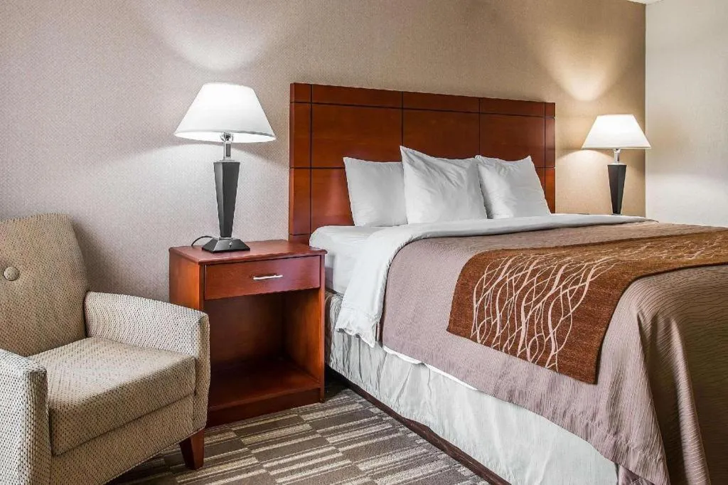 Bed in Comfort Inn & Suites University South