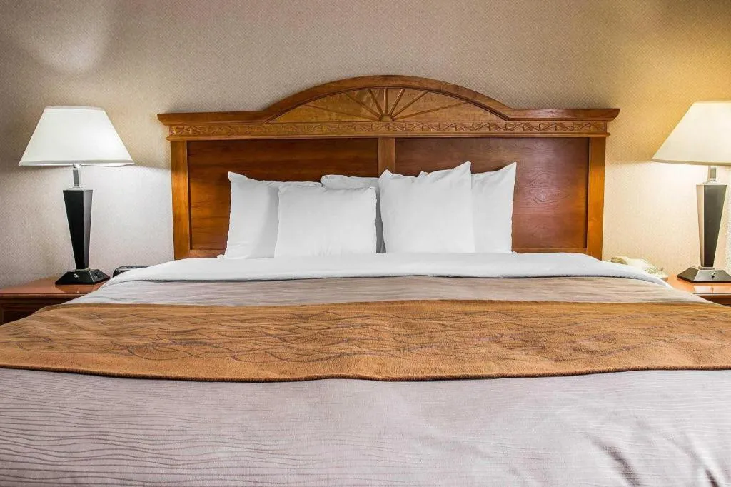 Bed in Comfort Inn & Suites University South