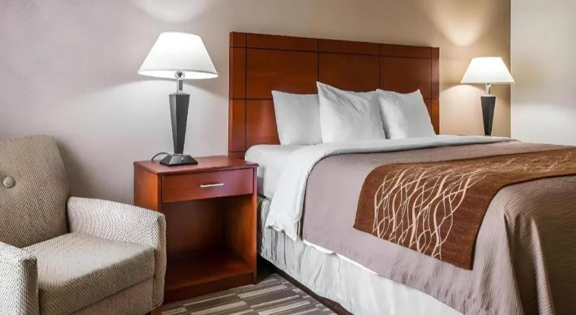 Bed in Comfort Inn & Suites University South