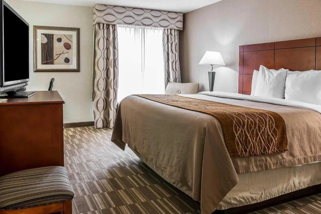 Bed in Comfort Inn & Suites University South