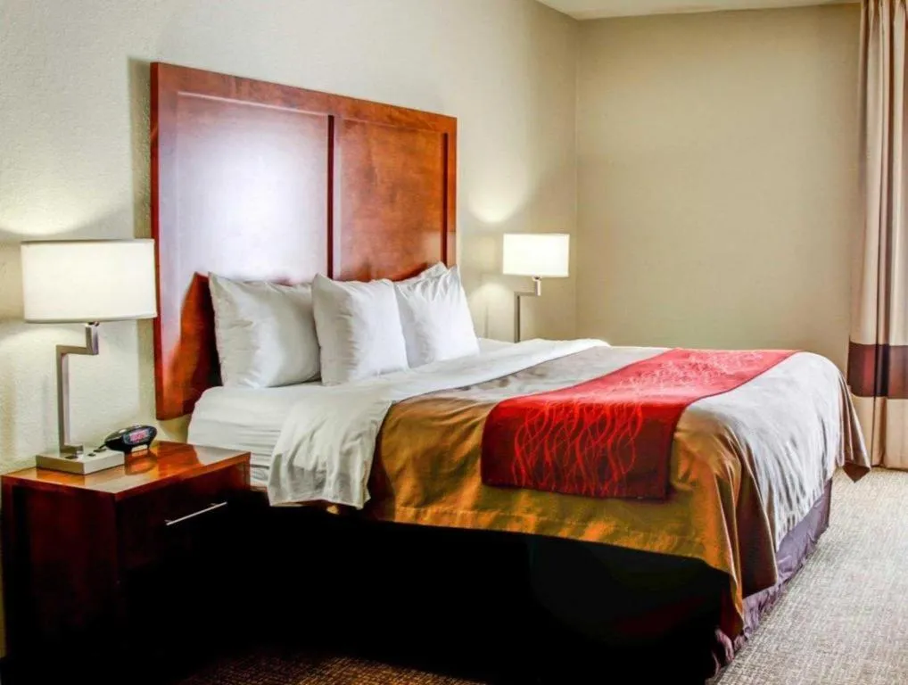 Bed in Comfort Inn Bessemer Birmingham South