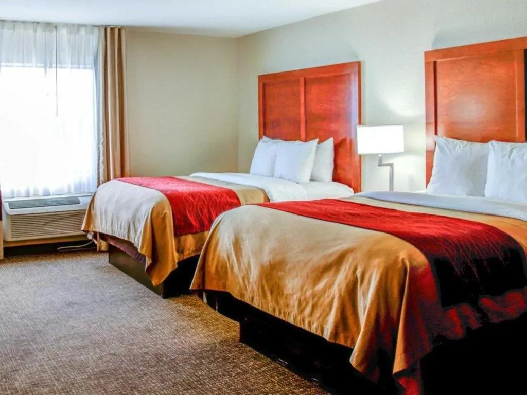 Bed in Comfort Inn Bessemer Birmingham South