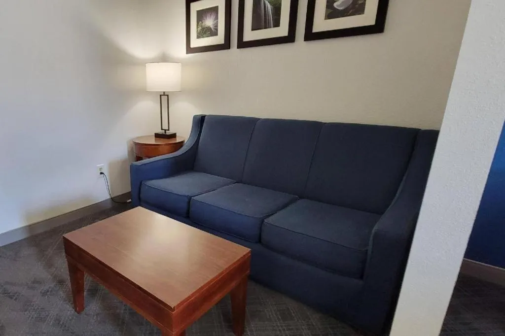 Comfort Inn Bessemer Birmingham South