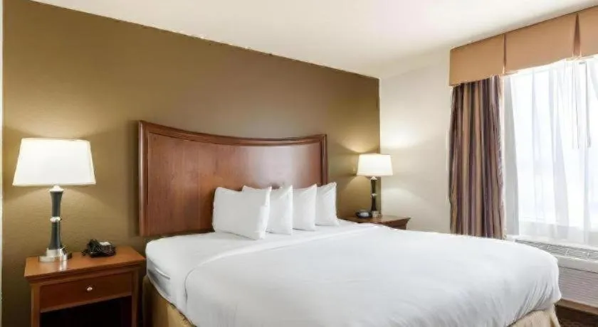 Bed in Quality Suites Huntsville Near University