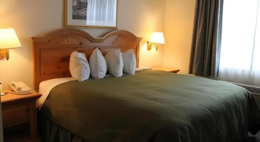 Bed in Country Inn & Suites by Radisson, Dundee, MI