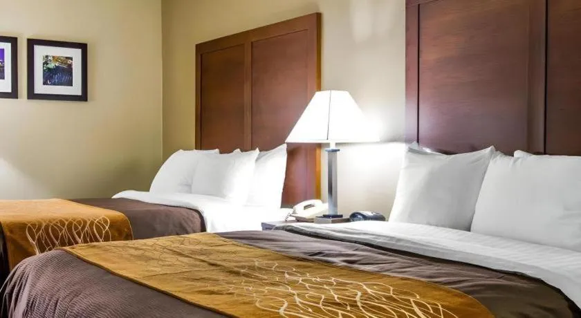 Bed in AmericInn by Wyndham Memphis East