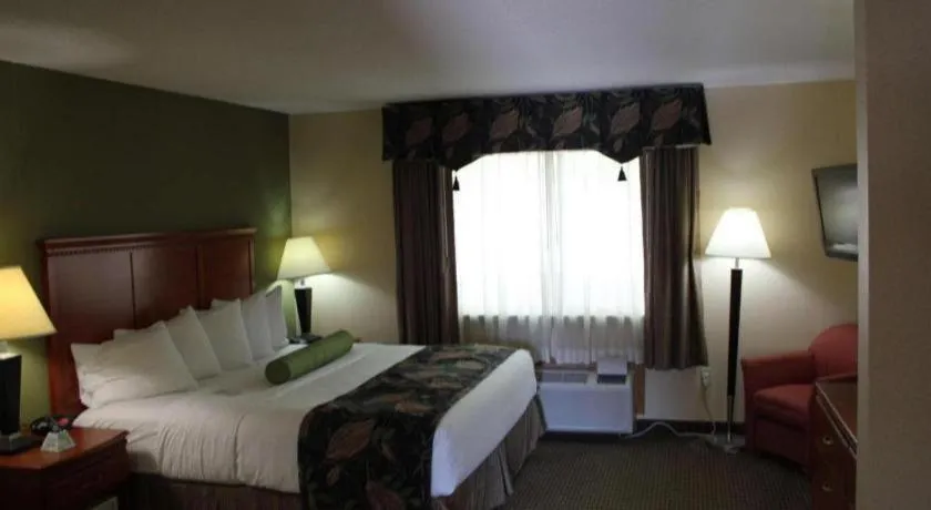 Bed in Best Western Shelbyville Inn and Suites Celebration Inn