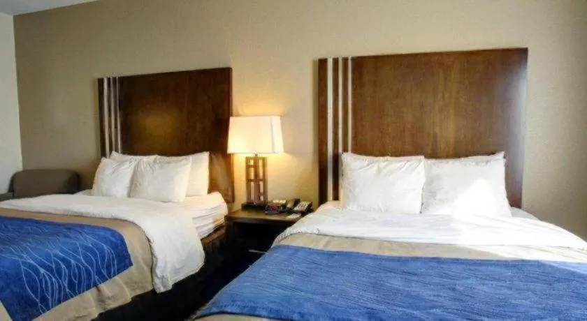 Comfort Inn & Suites Navasota