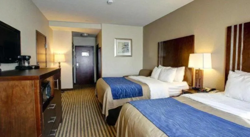 Comfort Inn & Suites Navasota