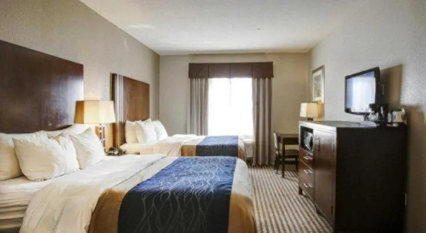 Bed in Comfort Inn & Suites Navasota