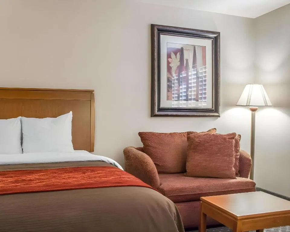 Bed in Comfort Inn and Suites Thatcher