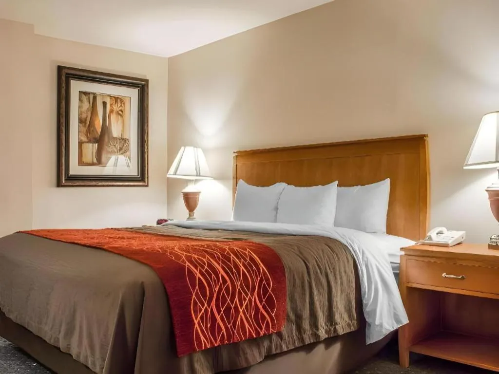 Bed in Comfort Inn and Suites Thatcher