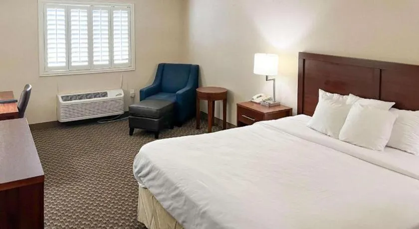 Bed in Comfort Inn and Suites Thatcher