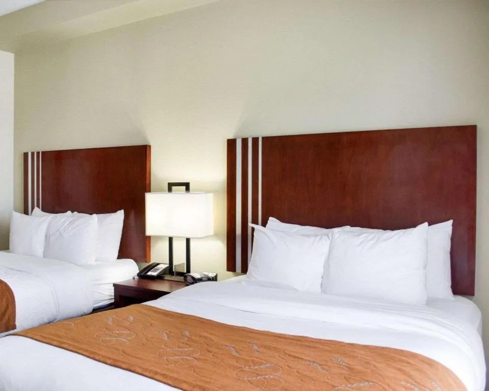 Bed in Comfort Suites Greenwood