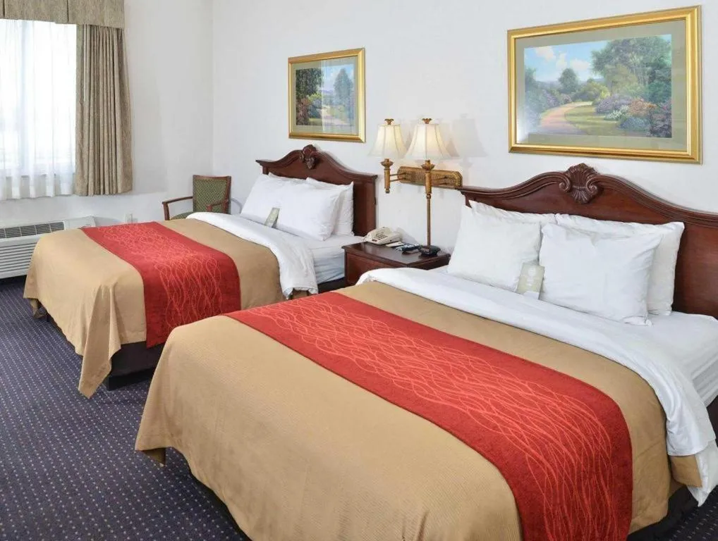 Bed in Comfort Inn & Suites