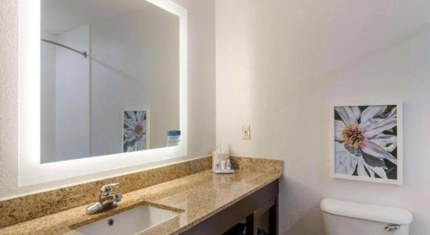 Comfort Inn & Suites Hot Springs Midtown