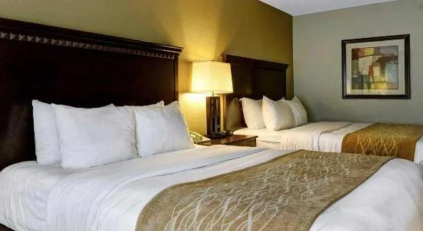 Bed in Comfort Inn & Suites Hot Springs Midtown