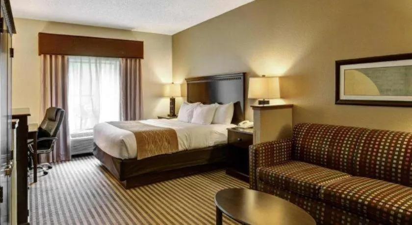 Bed in Comfort Inn & Suites Hot Springs Midtown