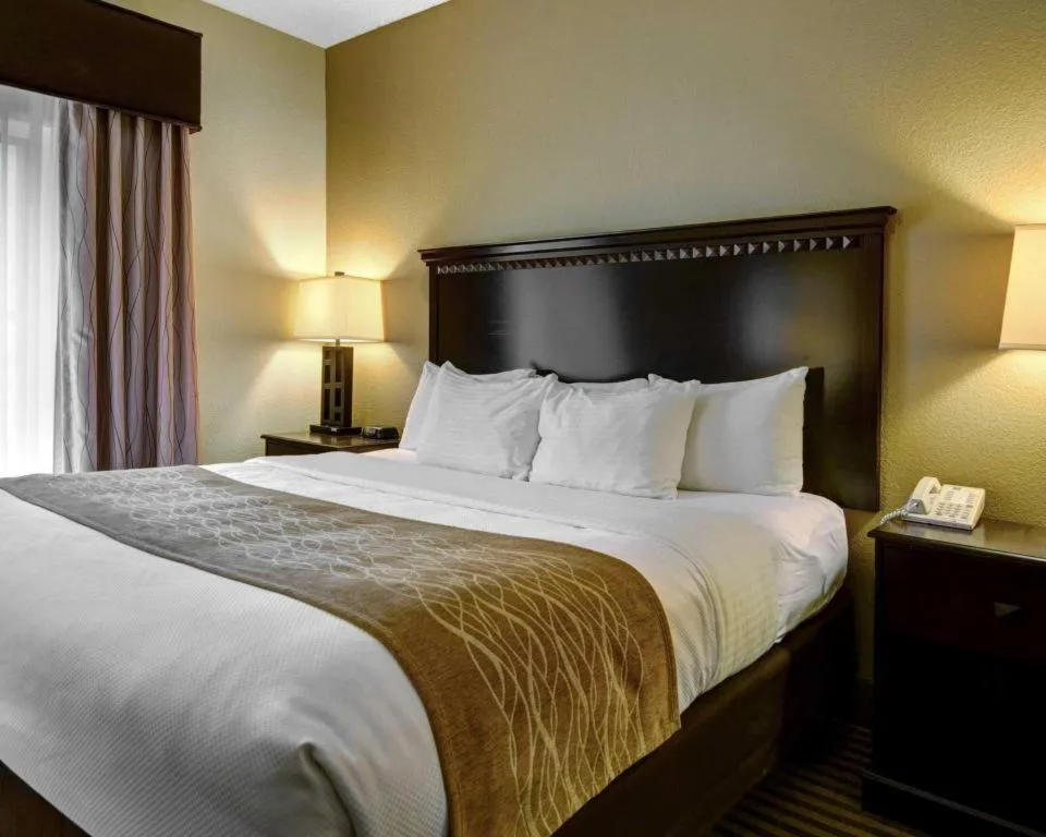 Bed in Comfort Inn & Suites Hot Springs Midtown
