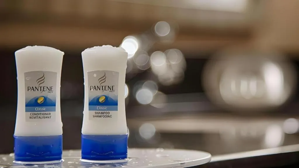 Best Western Windsor Inn