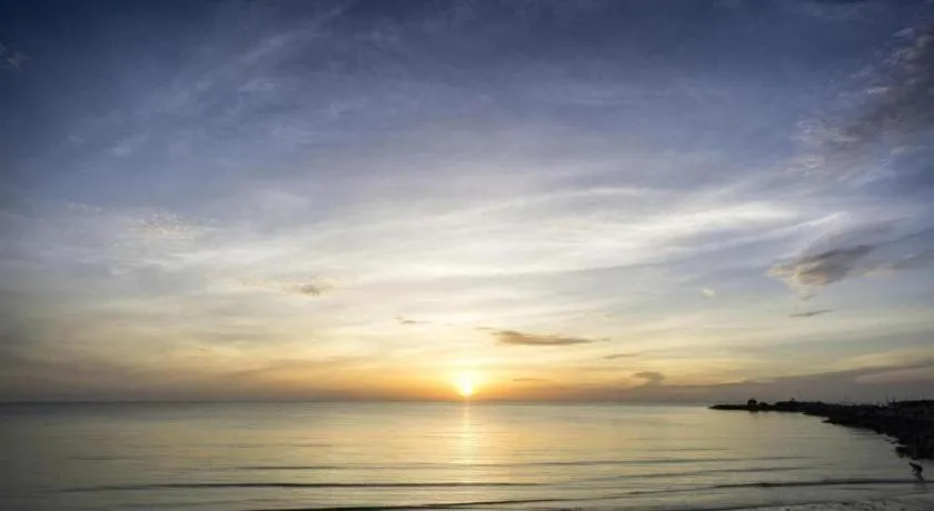 Alexander Hotel Tegal