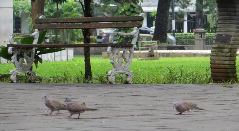 Pomelotel Patra Kuningan Jakarta