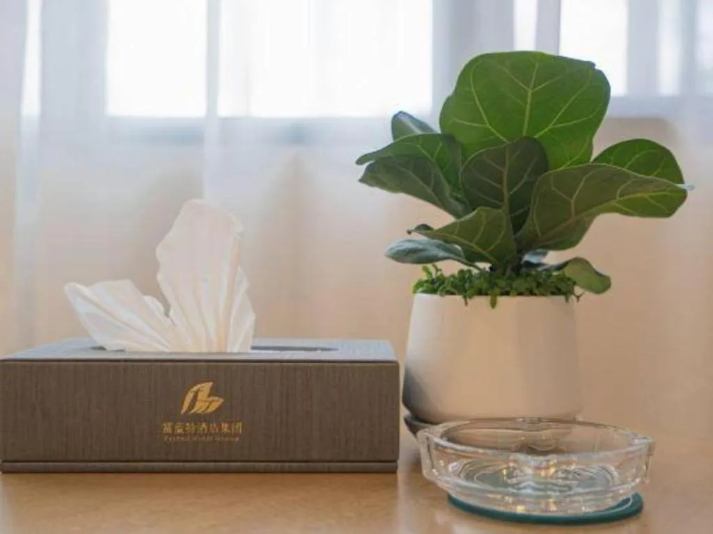 Zhangjiajie Fulante News Business Hotel