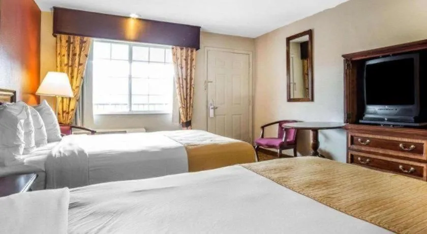 Bed in Quality Inn & Suites Minden