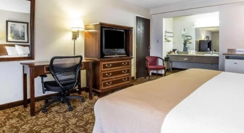Bed in Quality Inn & Suites Minden