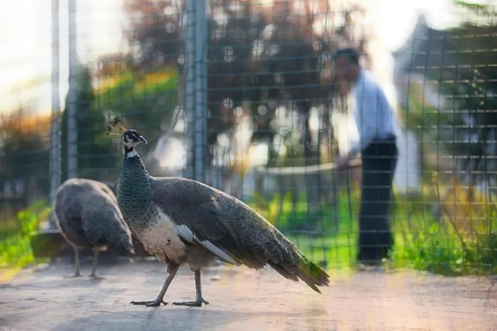Ningbo Shi Qi Fang Kaiyuan Hotel