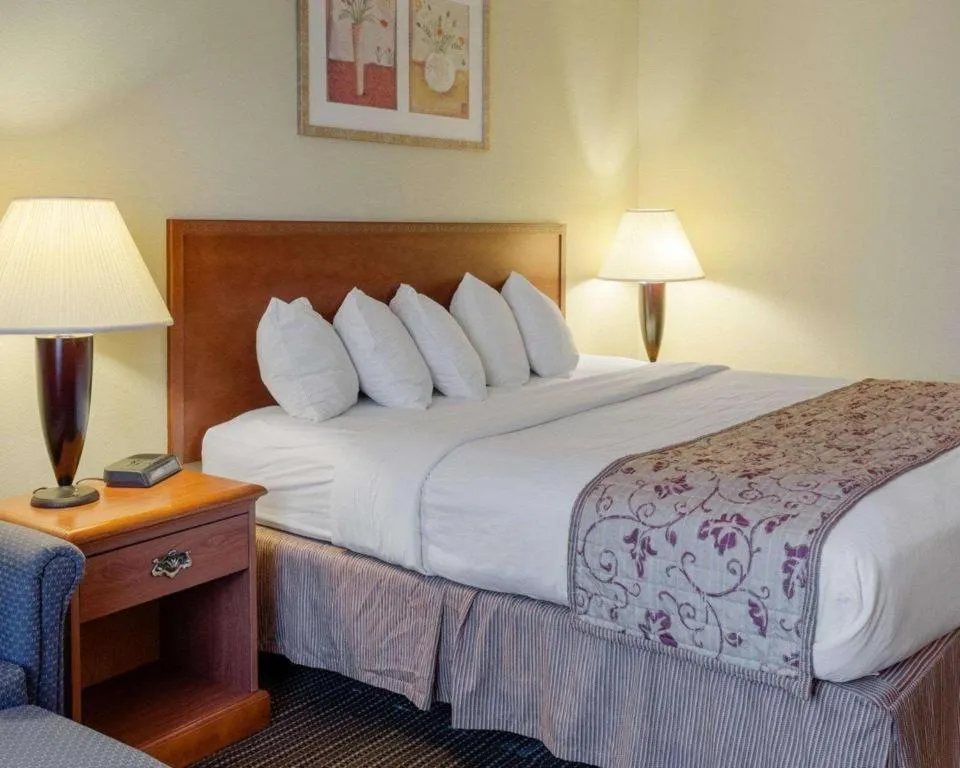 Bed in Rodeway Inn Greenville