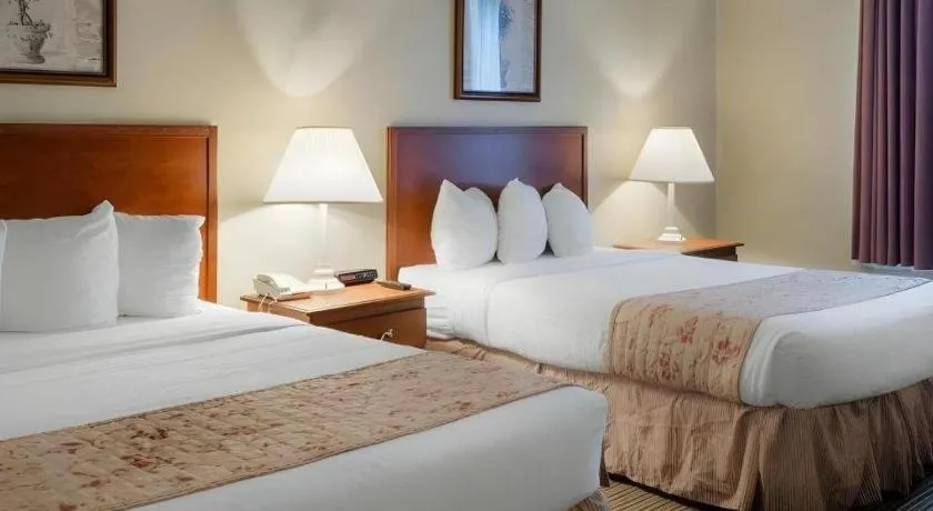 Bed in Rodeway Inn Greenville